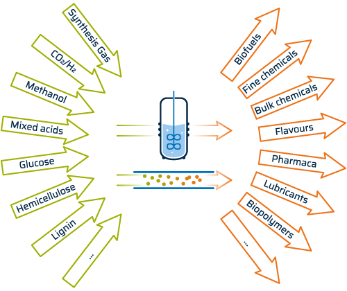 [Translate to Deutsch:] Input-Output scheme of biochemical products